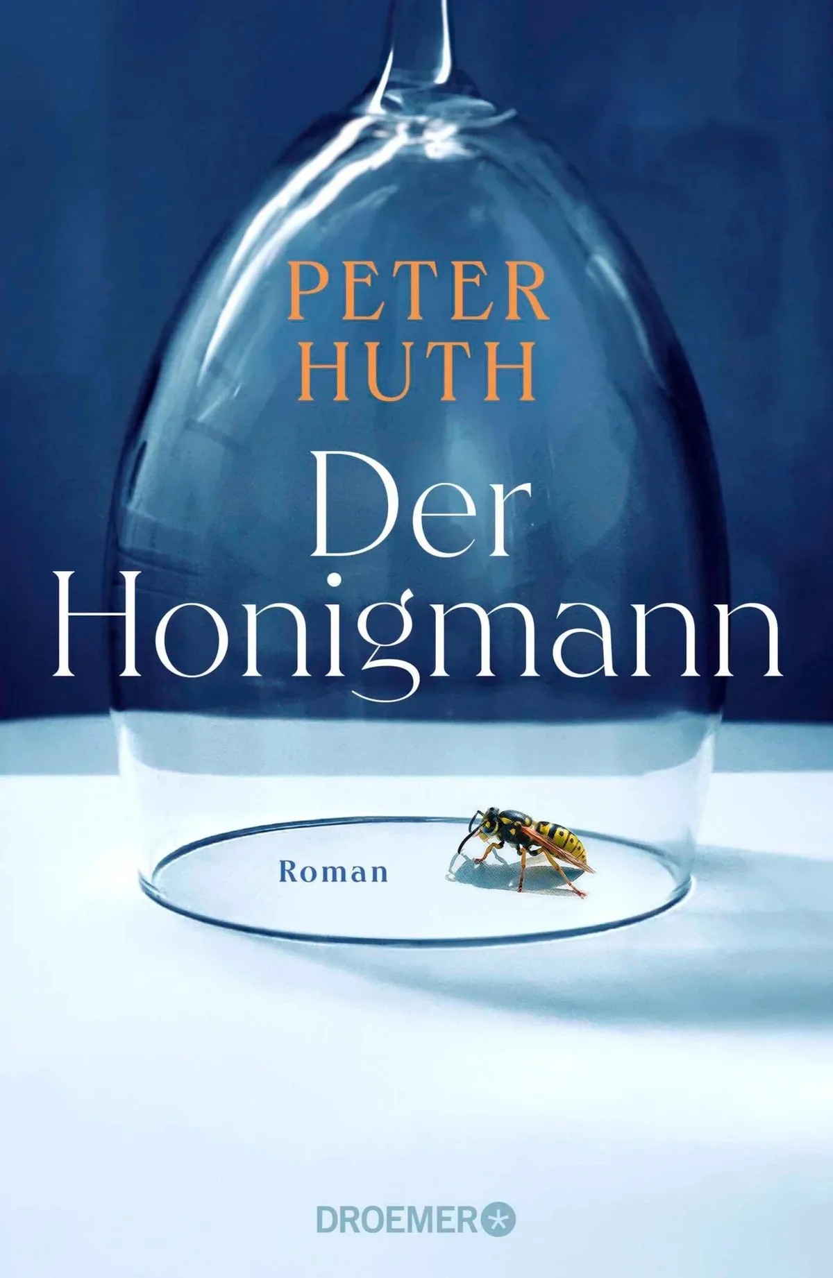 Cover des Buchs «Der Honigmann».